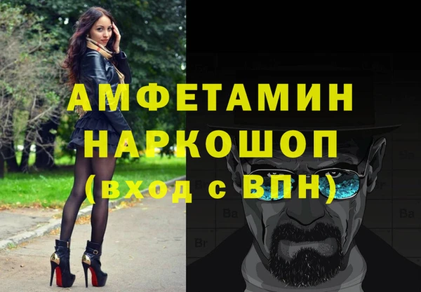 гидра Карпинск